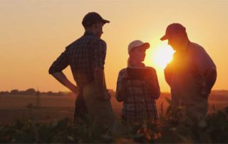 Can I Lose The Family Farm Because My Brother Has Creditor Problems?